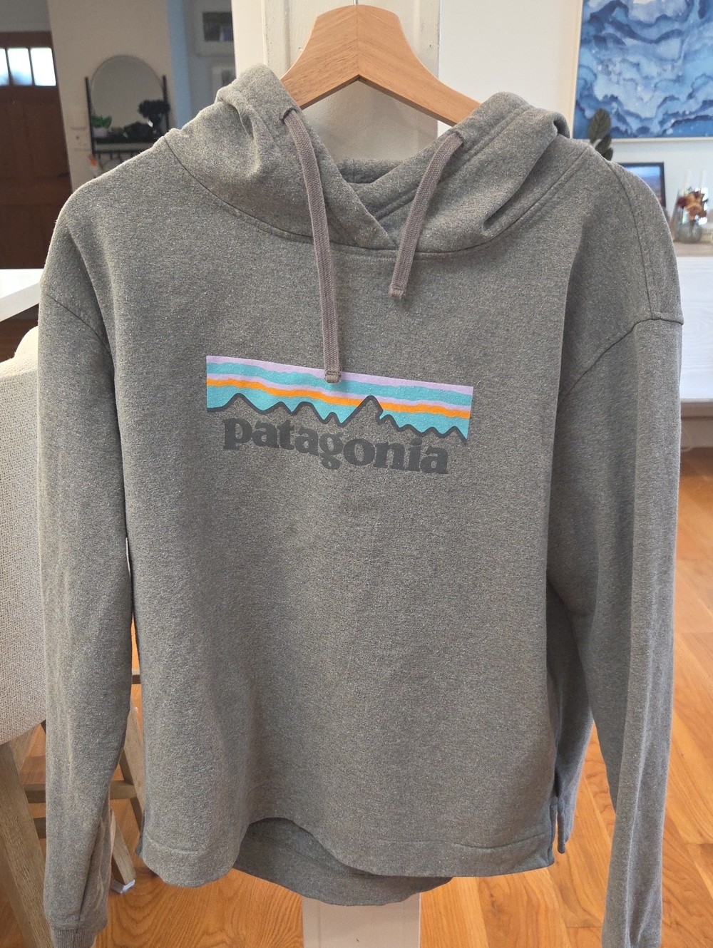 Patagonia Women's Gray Hoodie with Multi‑Color Mountain Stripe Logo (XL)
